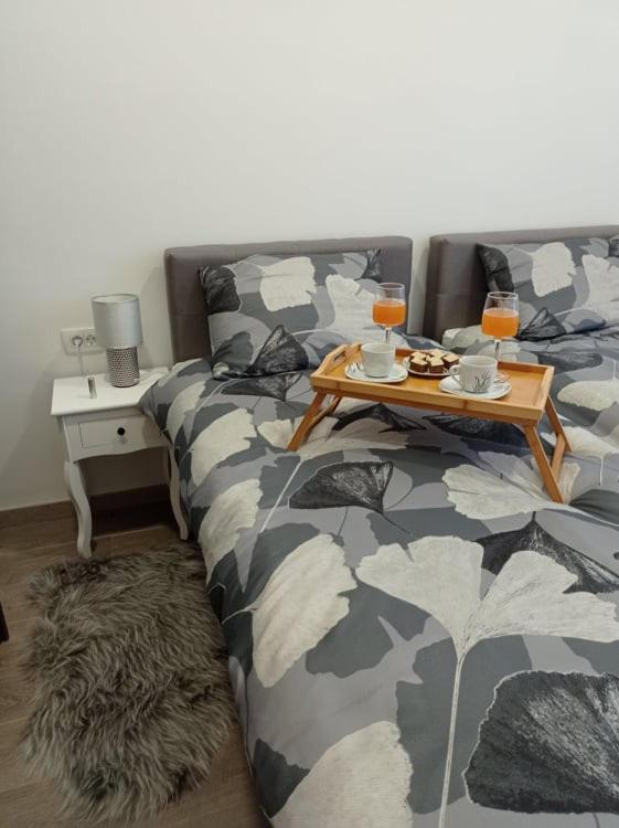 Apartman Cezar Lägenhet Rijeka Exteriör bild